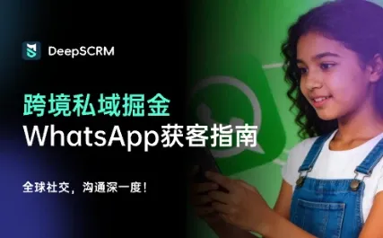 跨境私域掘金：WhatsApp营销如何实现获客成本减半与GMV翻倍？